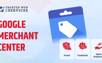 Understanding Google Merchant Center Disapprovals